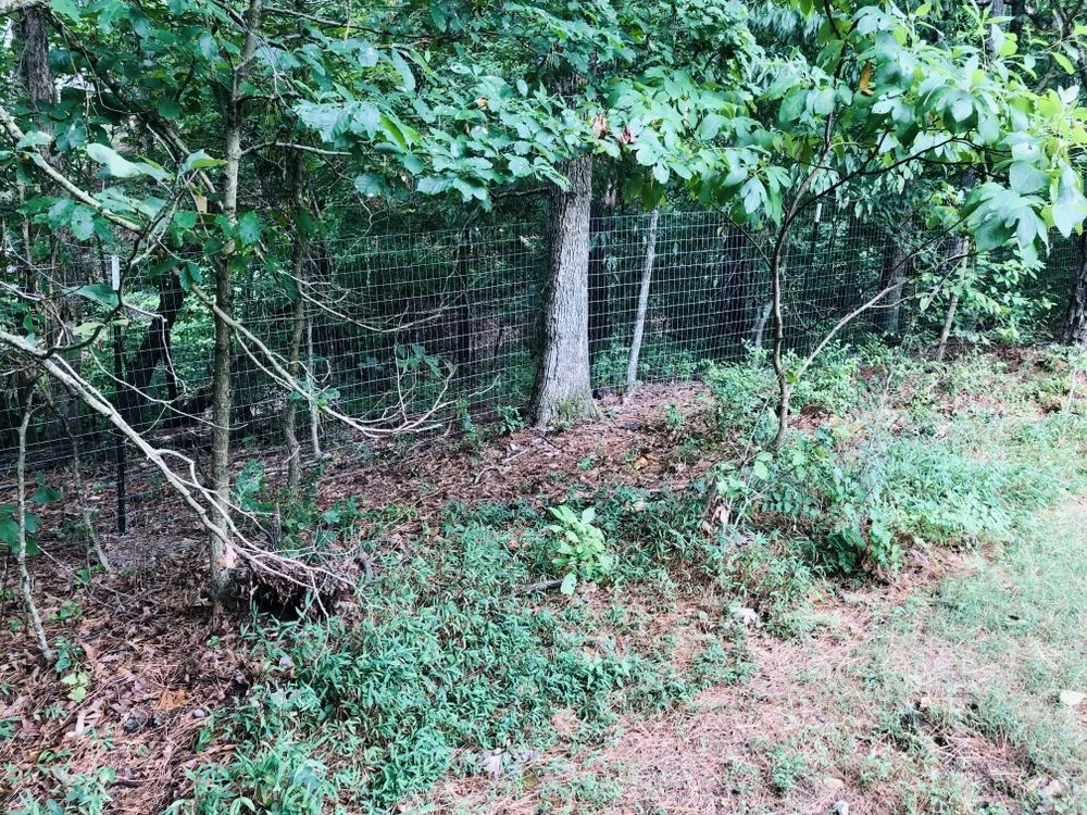 Custom lawn care service experts serving Lowell, AR - TCHW Contracting