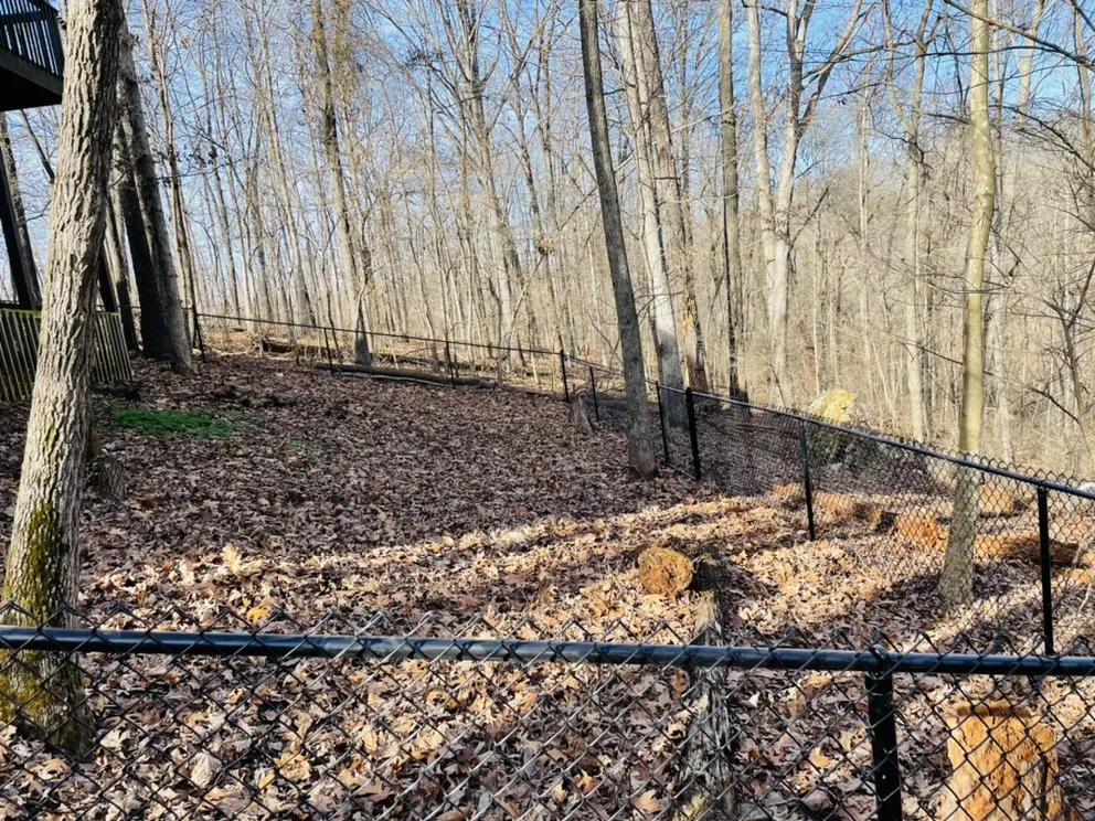 Affordable yard cleanup service in Lowell, AR by TCHW Contracting