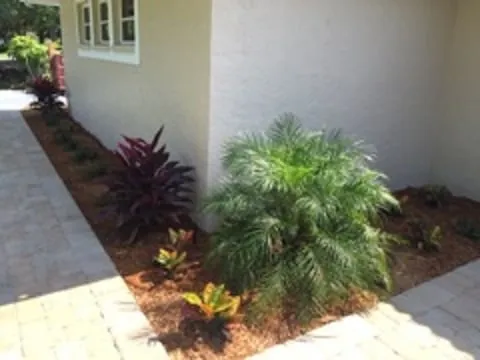 Affordable garden landscaping experts serving Lehigh Acres, FL - TCI Sod & Landscape
