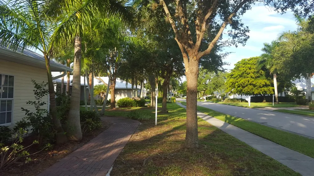 Trusted residential landscaping for outdoor upgrades in Lehigh Acres, FL by TCI Sod & Landscape