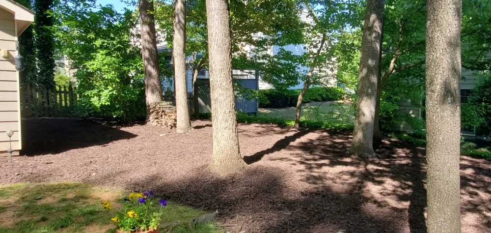 Expert landscape design experts serving Douglasville, GA - TCJ Lawncare