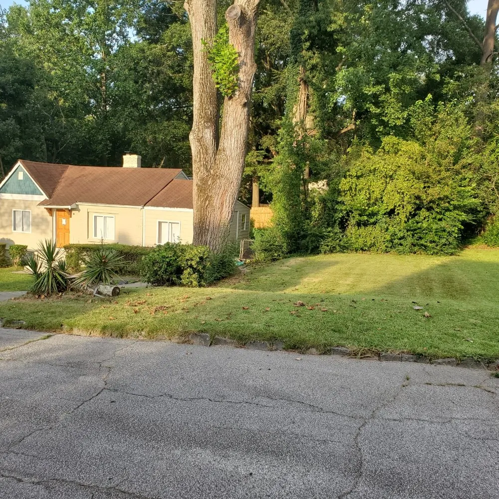 Trusted yard cleanup service for year-round maintenance in Douglasville, GA by TCJ Lawncare