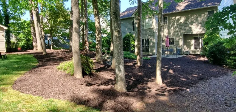 Local garden landscaping for residential properties across Douglasville, GA - TCJ Lawncare