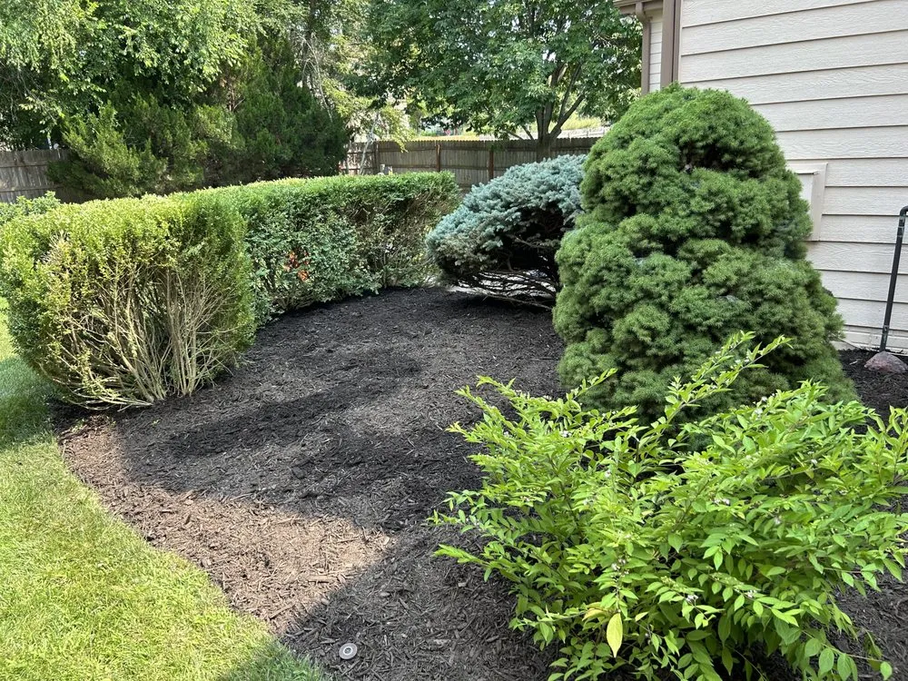 Custom yard maintenance in Lincoln, NE - TCK General Construction & Landscaping