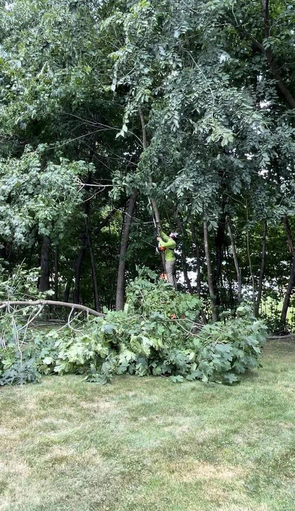 Affordable landscape installation in Amherst, NH - TCoyne Landscaping