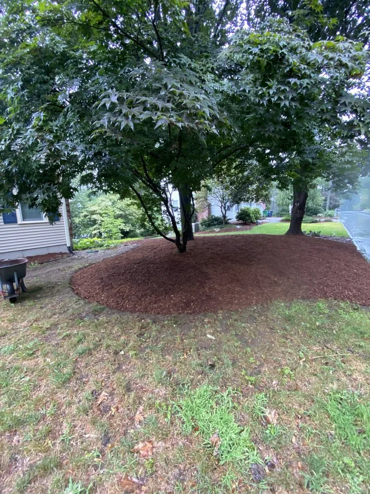 Trusted yard cleanup service near you in Amherst, NH by TCoyne Landscaping