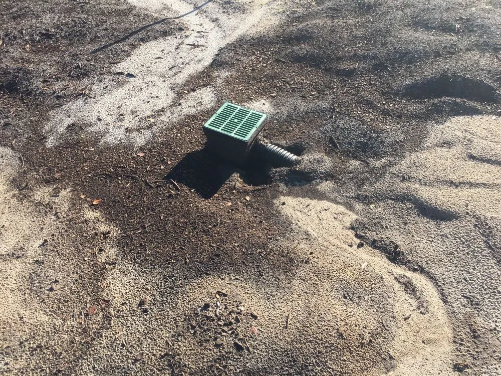 Reliable yard cleanup service for year-round maintenance across DeBary, FL - TCR Landscaping