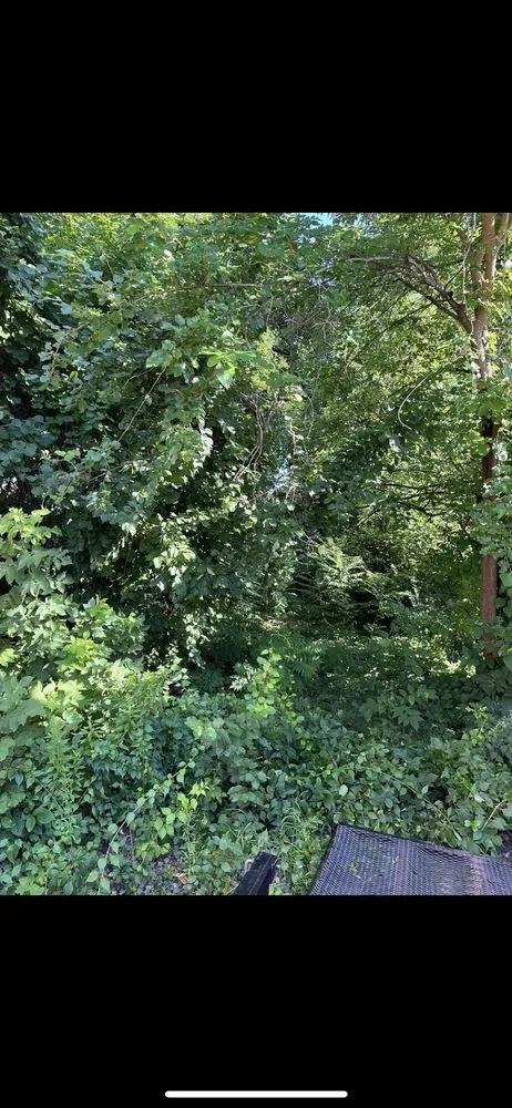 Professional residential landscaping in Windsor Locks, CT by TC’s Landscaping & Property Maintenance