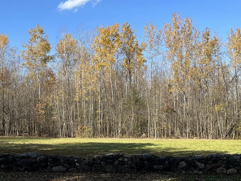 Professional garden landscaping experts serving Windsor Locks, CT - TC’s Landscaping & Property Maintenance