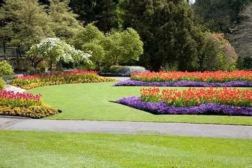 Reliable outdoor landscaping experts serving Vinita, OK - TC's Lawn and Landscaping