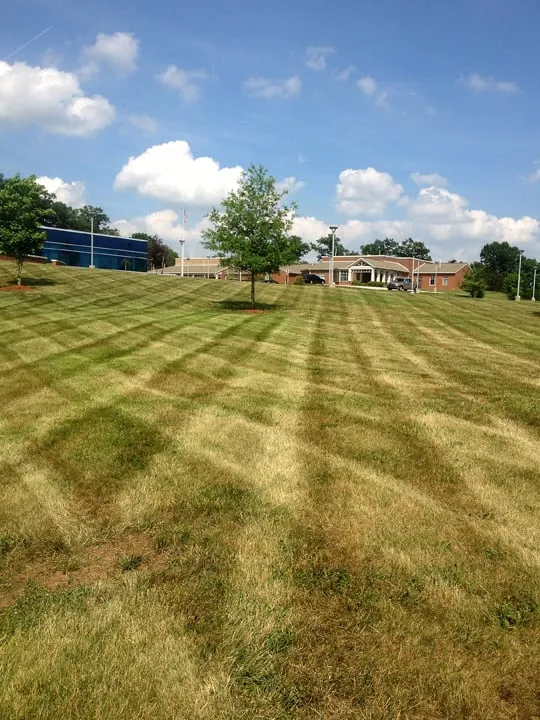 Custom landscaping services for residential properties across Mount Washington, KY - Tc's Lawn Care Service & Snow Removal