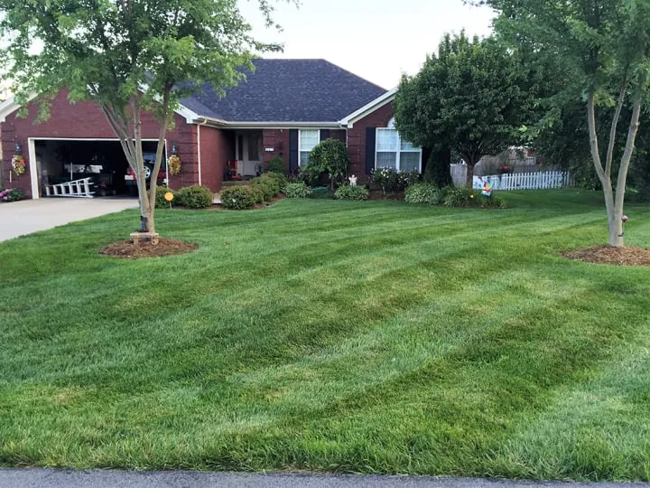 Local landscape installation experts serving Mount Washington, KY - Tc's Lawn Care Service & Snow Removal