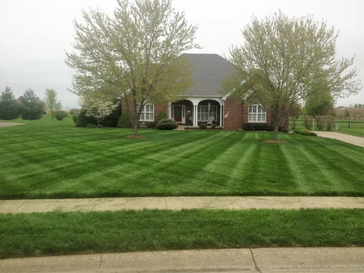 Trusted outdoor landscaping in Mount Washington, KY by Tc's Lawn Care Service & Snow Removal