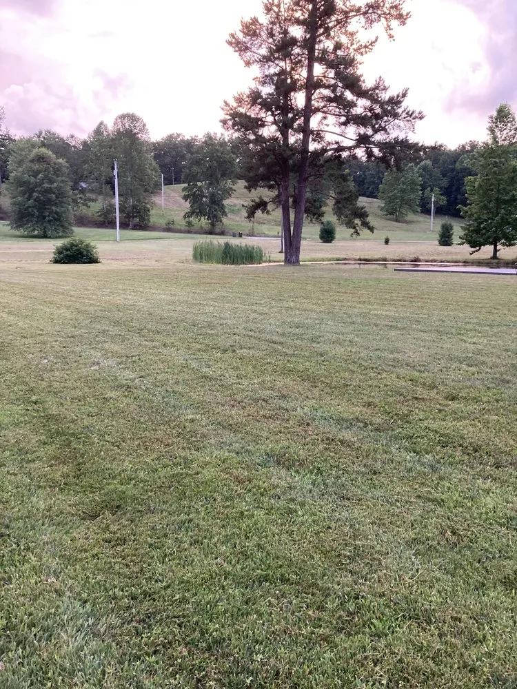 Reliable lawn care service experts serving Mount Sterling, KY - TC’s Lawncare & Handyman Services