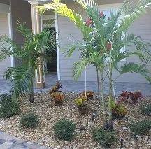 Top-rated garden landscaping experts serving Cocoa, FL - T.C's Lawns & Landscaping