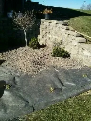 Reliable lawn care service in Saint Louis, MO - TCT Contracting,LLC