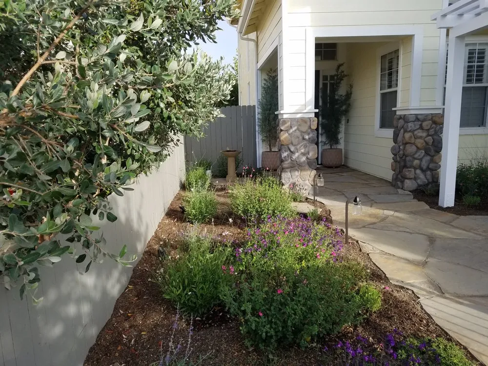 Custom outdoor landscaping with custom design across Buellton, CA - TCT Landscaping