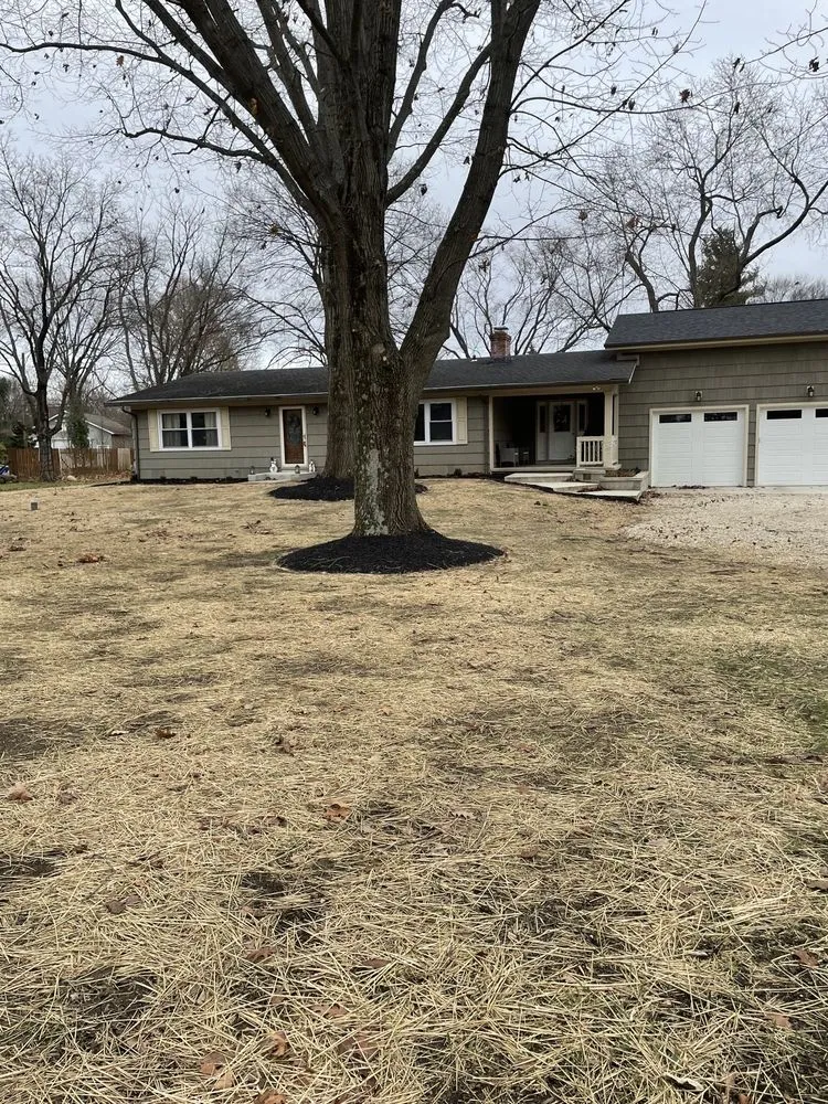 Top-rated lawn mowing service in Whitehall, OH - TCT Property Enterprises