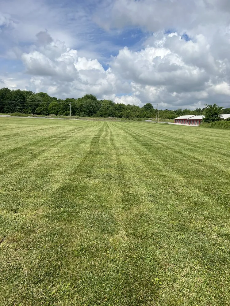 Custom garden landscaping in Wingo, KY by Td Clean Ups