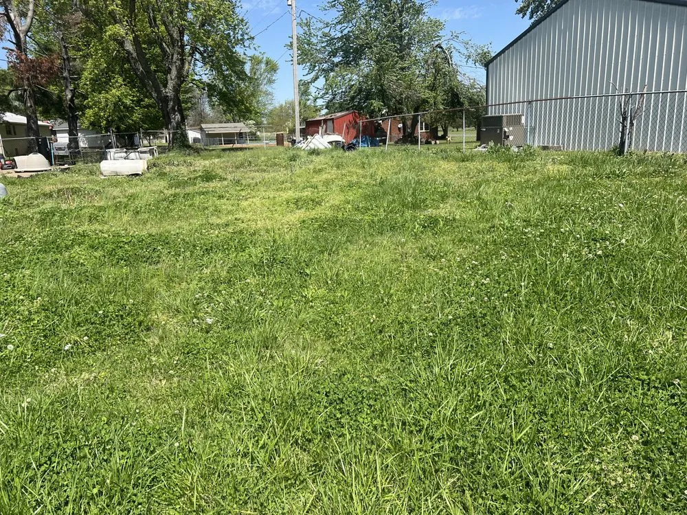Local yard maintenance in Wingo, KY - Td Clean Ups