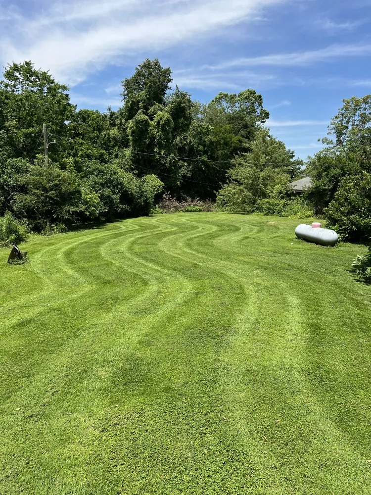 Top-rated landscape design in Wingo, KY - Td Clean Ups