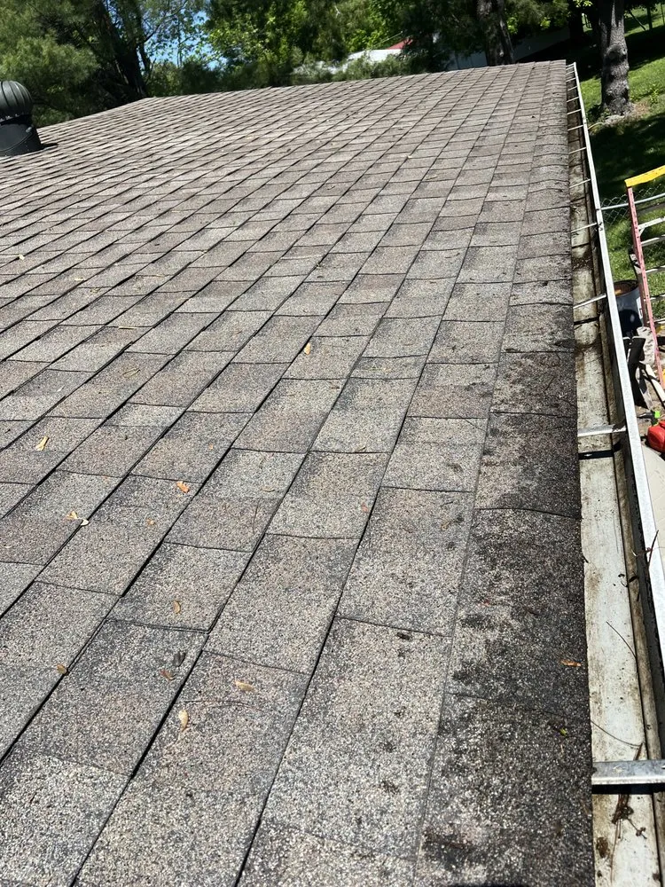 Expert landscape design in Wingo, KY - Td Clean Ups
