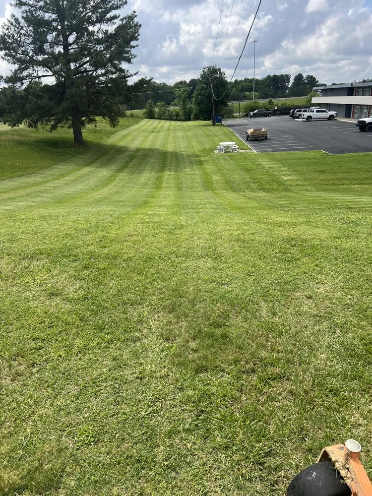 Affordable landscaping services near you in Wingo, KY by Td Clean Ups