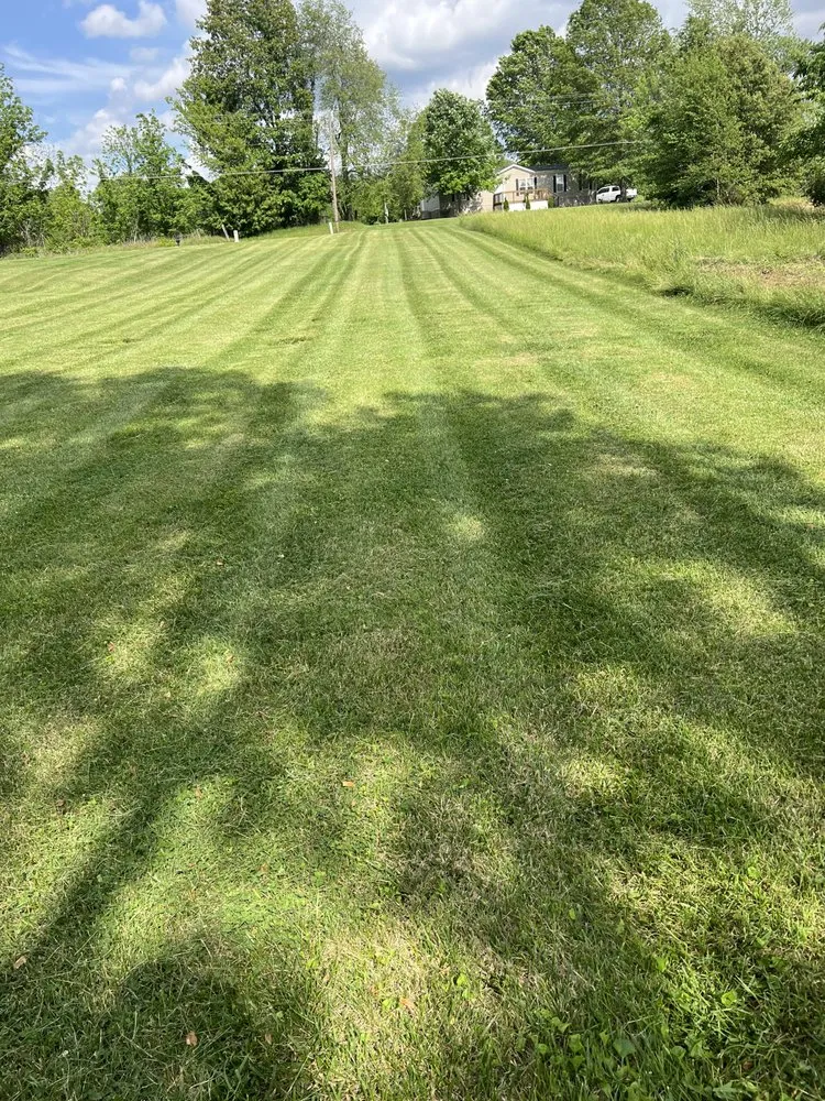 Reliable outdoor landscaping near you across Wingo, KY - Td Clean Ups