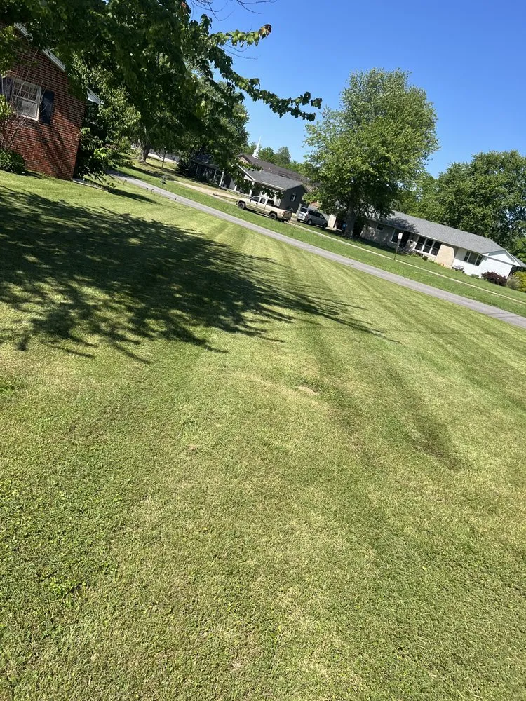 Expert landscape design in Wingo, KY - Td Clean Ups