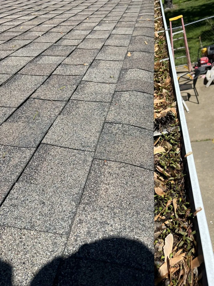 Local yard maintenance in Wingo, KY by Td Clean Ups