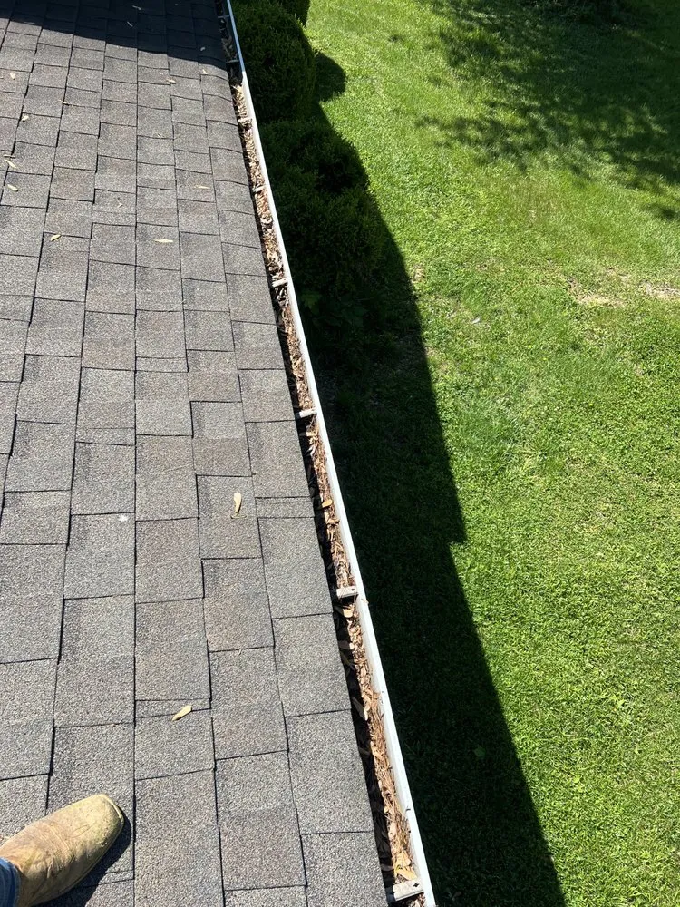 Custom yard maintenance in Wingo, KY - Td Clean Ups