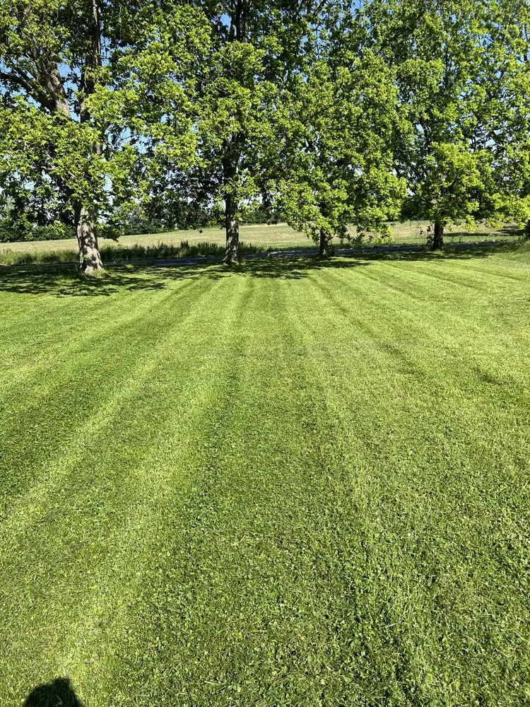 Expert residential landscaping for residential properties across Wingo, KY - Td Clean Ups