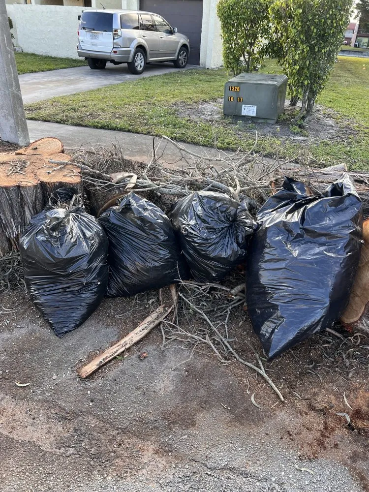 Affordable landscaping services for outdoor upgrades across West Palm Beach, FL - TD Custom junk removal Services