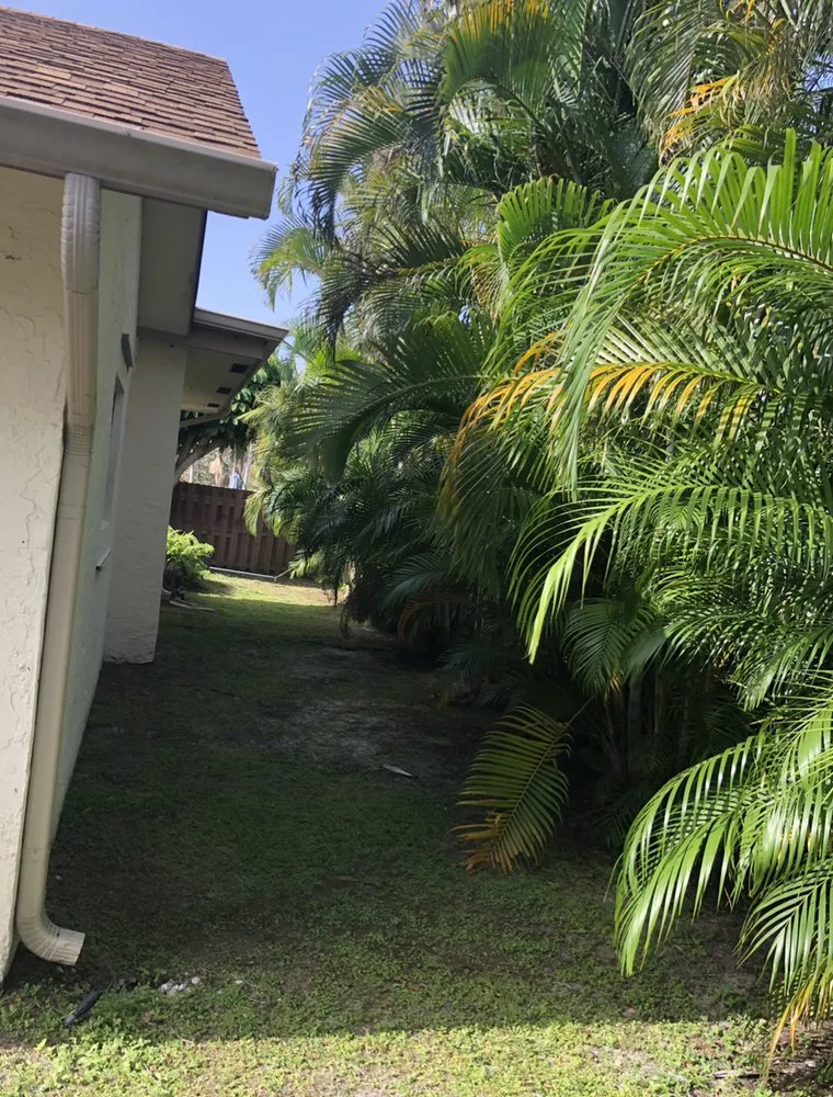 Top-rated landscaping services for beautiful yards across West Palm Beach, FL - TD Custom junk removal Services