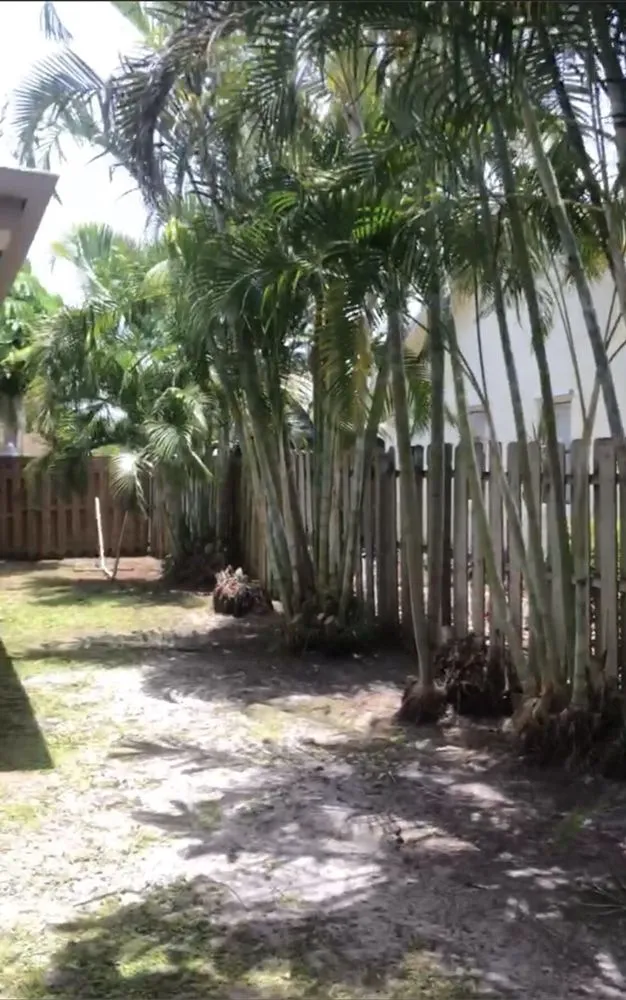 Custom outdoor landscaping in West Palm Beach, FL - TD Custom junk removal Services