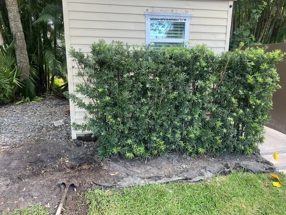 Affordable garden landscaping in West Palm Beach, FL - TD Custom junk removal Services