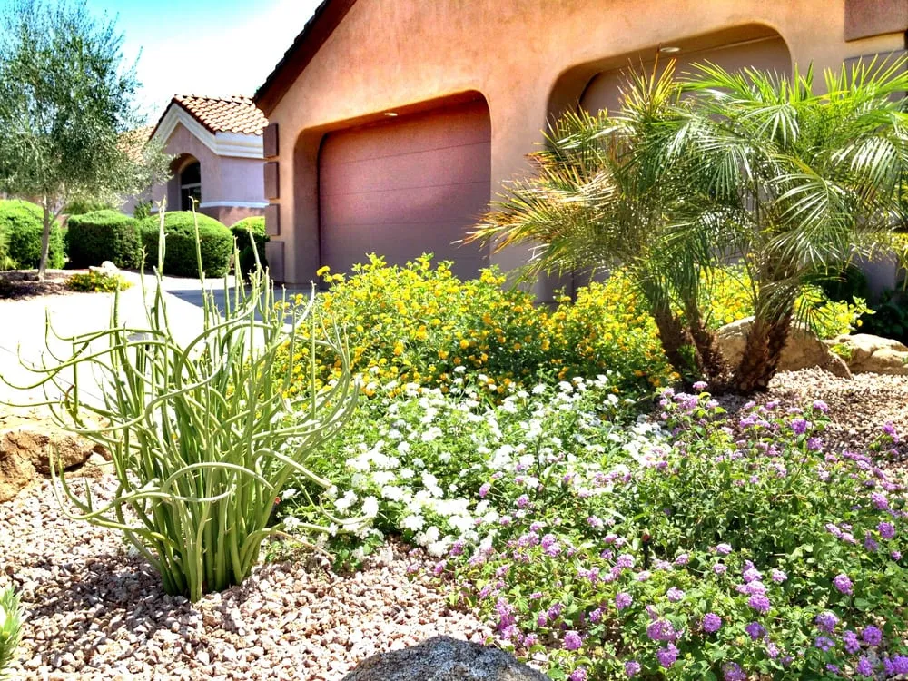 Professional landscape installation for year-round maintenance across Scottsdale, AZ - T&d Gardening, Inc