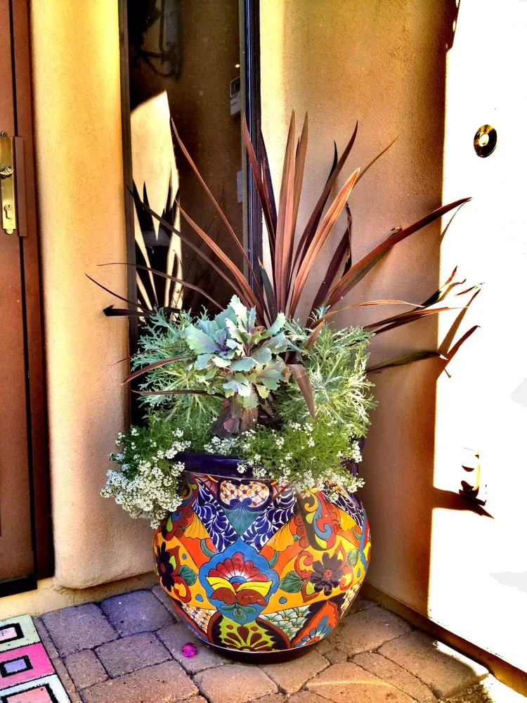 Trusted yard maintenance experts serving Scottsdale, AZ - T&d Gardening, Inc