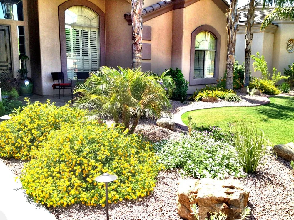 Local yard cleanup service in Scottsdale, AZ by T&d Gardening, Inc
