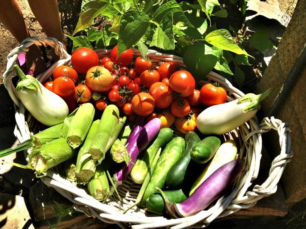 Expert landscape installation for residential properties in Scottsdale, AZ by T&d Gardening, Inc