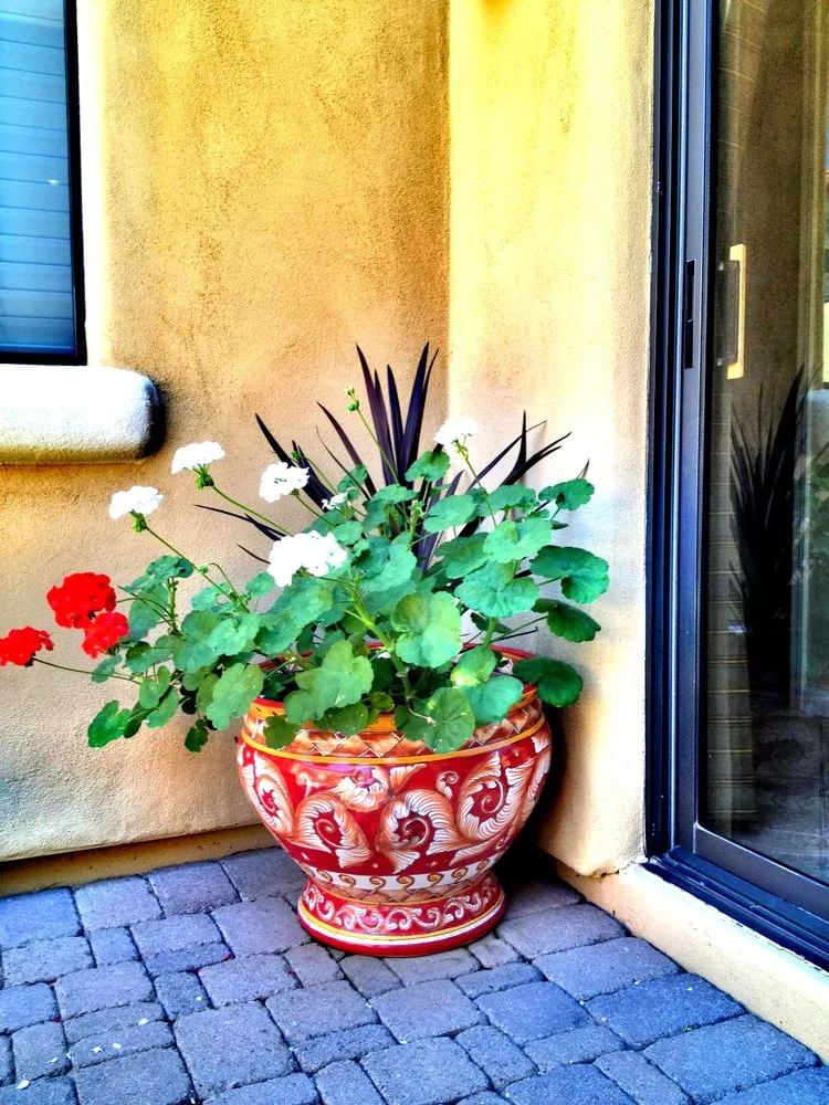 Top-rated landscaping services for residential properties in Scottsdale, AZ by T&d Gardening, Inc