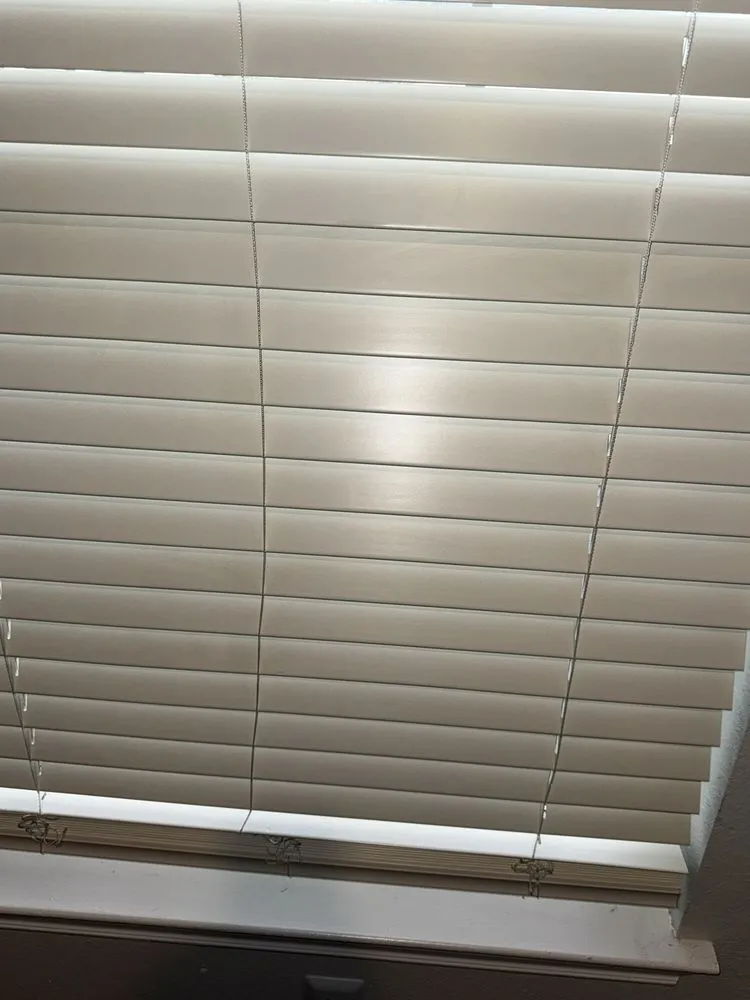 Professional landscape installation in Indianapolis, IN by TD Green & Clean