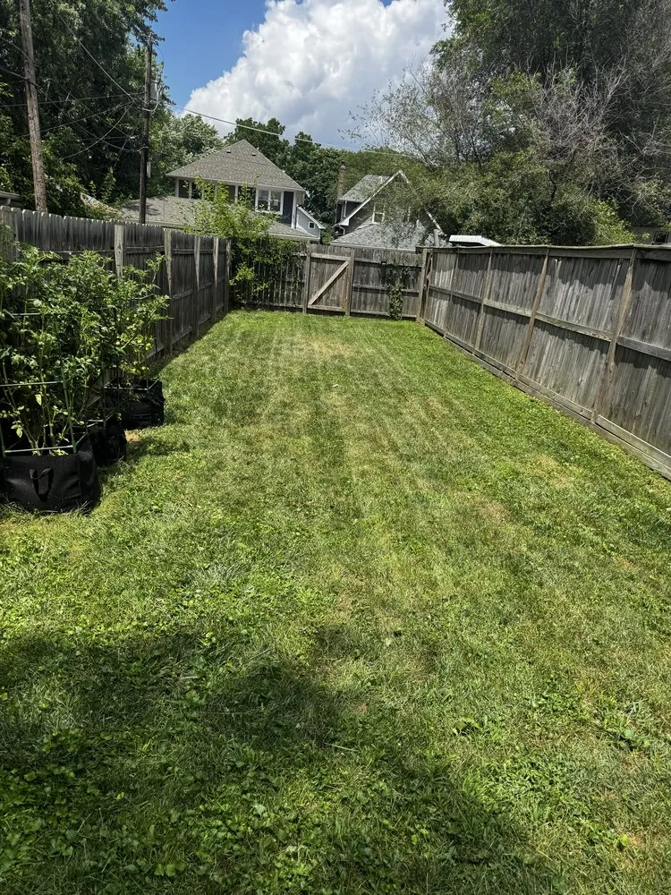 Reliable landscaping services near you in Indianapolis, IN by TD Green & Clean