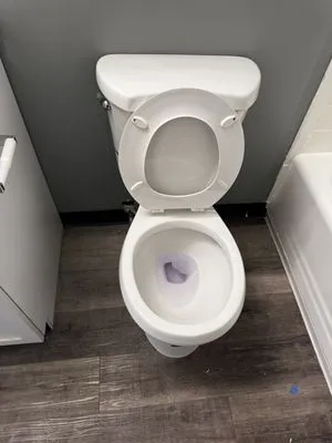 TD Green & Clean Logo