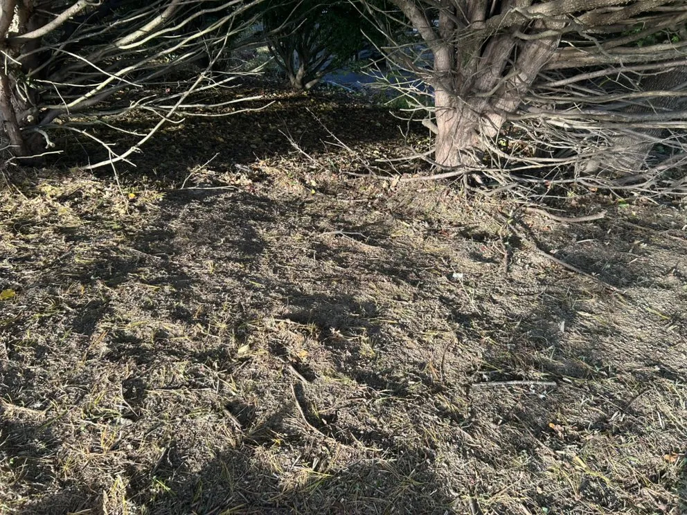 Expert residential landscaping in Forest Hill, MD by TD Landscaping