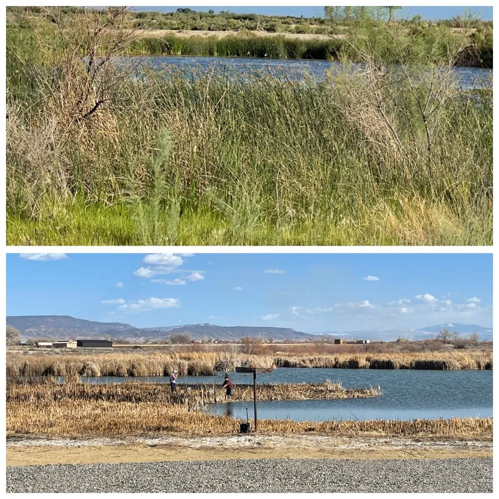 Affordable lawn care service for year-round maintenance in Montrose, CO by TD Landscaping