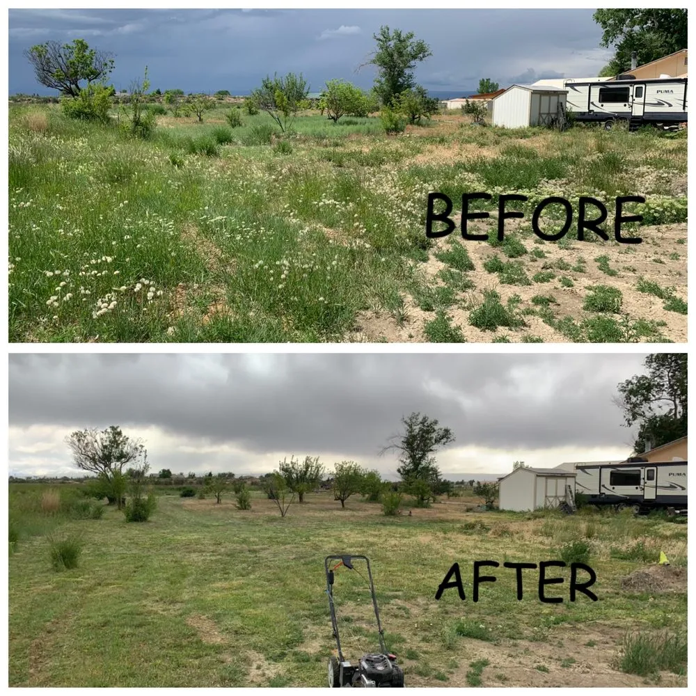 Reliable residential landscaping in Montrose, CO - TD Landscaping