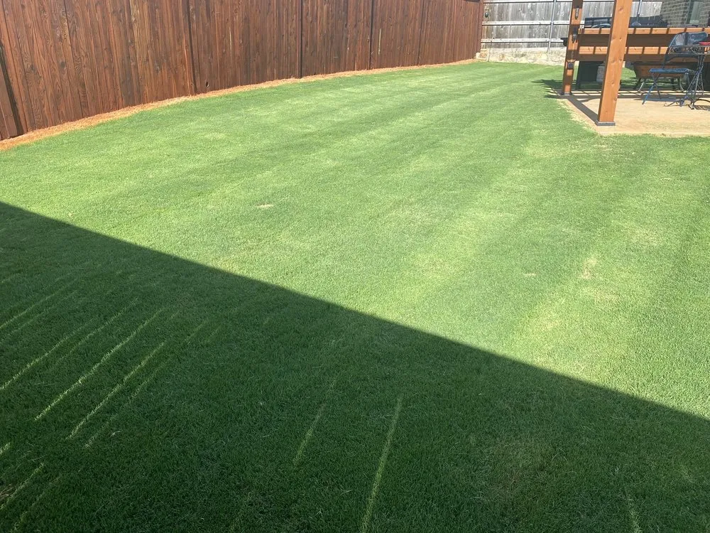 Top-rated yard maintenance experts serving Weatherford, TX - TD Landworks