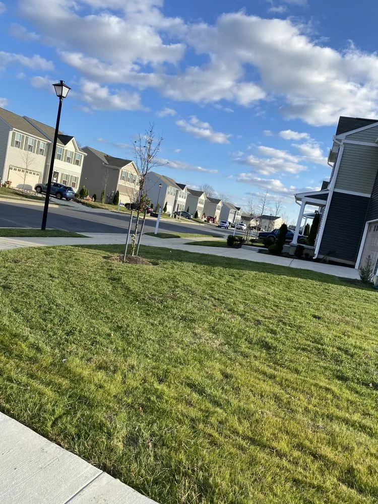 Top-rated outdoor landscaping in Dover, DE by T&D Lawn & Home Maintenance