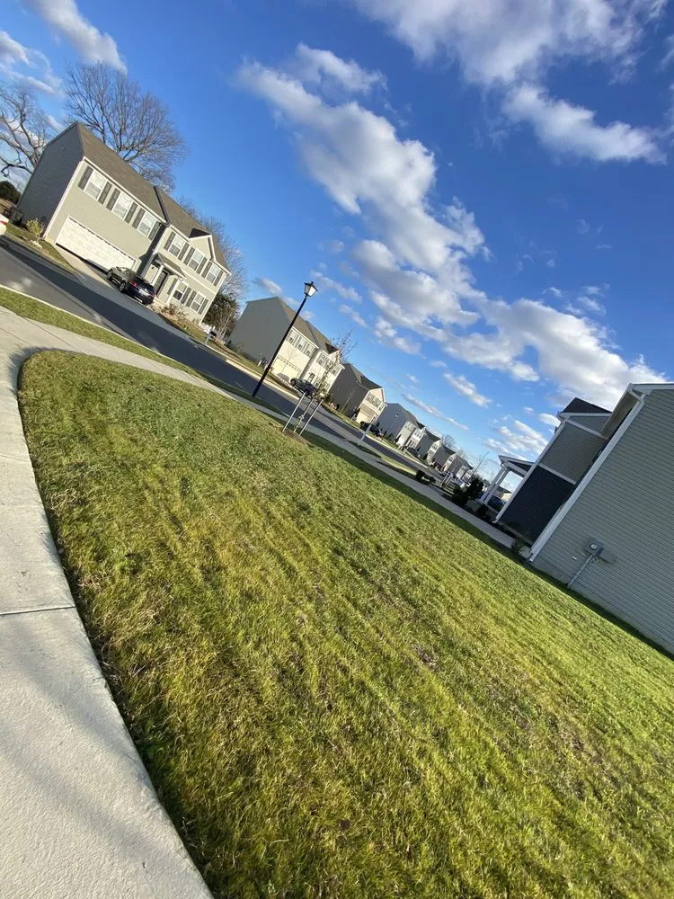 Local landscape installation in Dover, DE - T&D Lawn & Home Maintenance